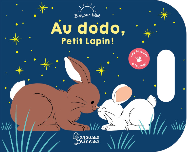 AU DODO, PETIT LAPIN ! - Raphaëlle Michaud - LAROUSSE