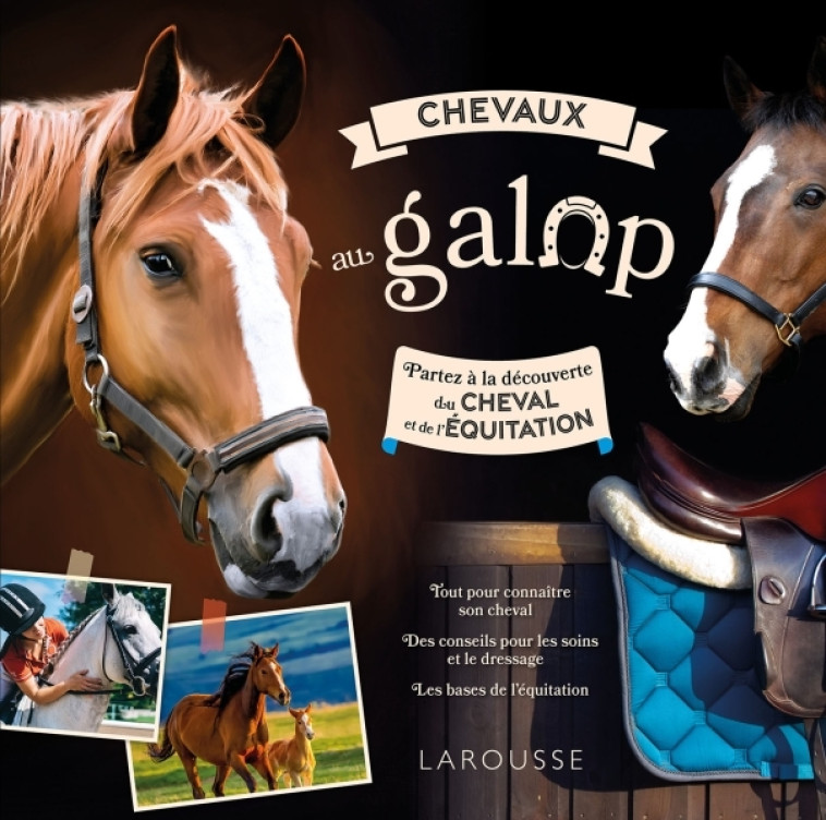 CHEVAUX AU GALOP -  Collectif - LAROUSSE