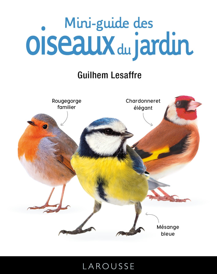 MINI-GUIDE DES OISEAUX DU JARDIN - Guilhem Lesaffre - LAROUSSE