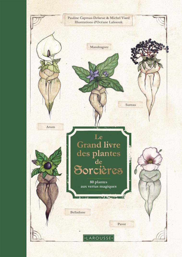 LE GRAND LIVRE DES PLANTES DE SORCIERES - Michel Viard - LAROUSSE