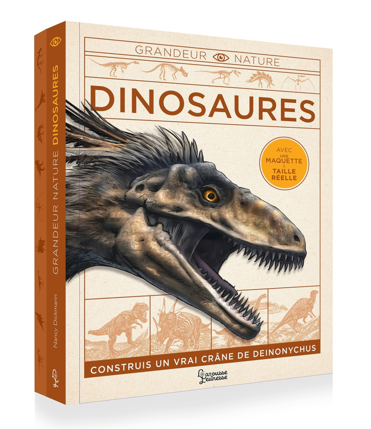 DINOSAURES - Nancy Dickmann - LAROUSSE