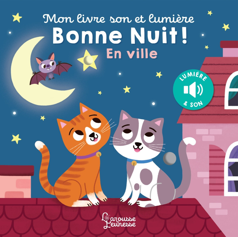 MON LIVRE SON ET LUMIERE : BONNE NUIT EN VILLE - Kasia Dudziuk - LAROUSSE