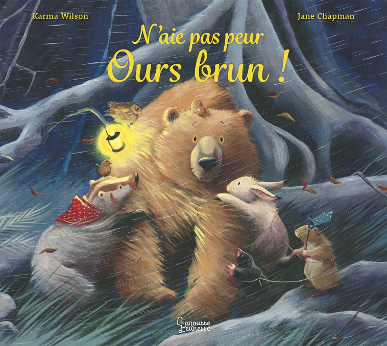 N-AIE PAS PEUR OURS BRUN ! -  Karma Wilson - LAROUSSE