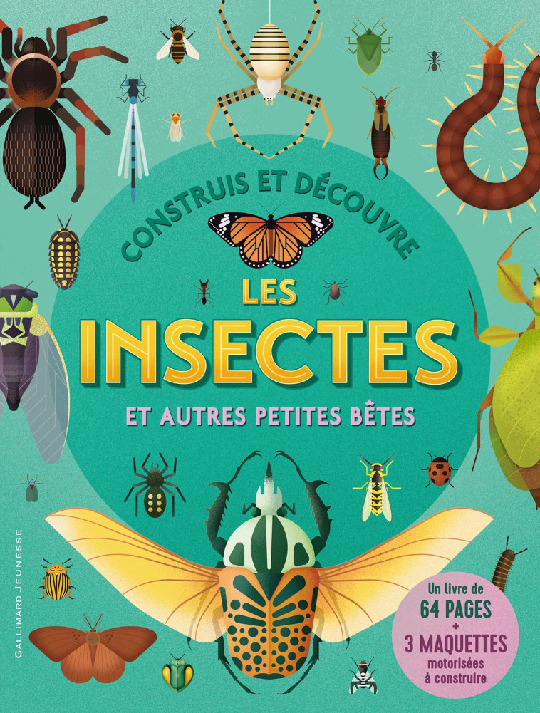 Construis et découvre les insectes et autres petites bêtes -  Collectif, Claire Lebfevre,  Collectif, Claire Lebfevre - GALLIMARD JEUNE