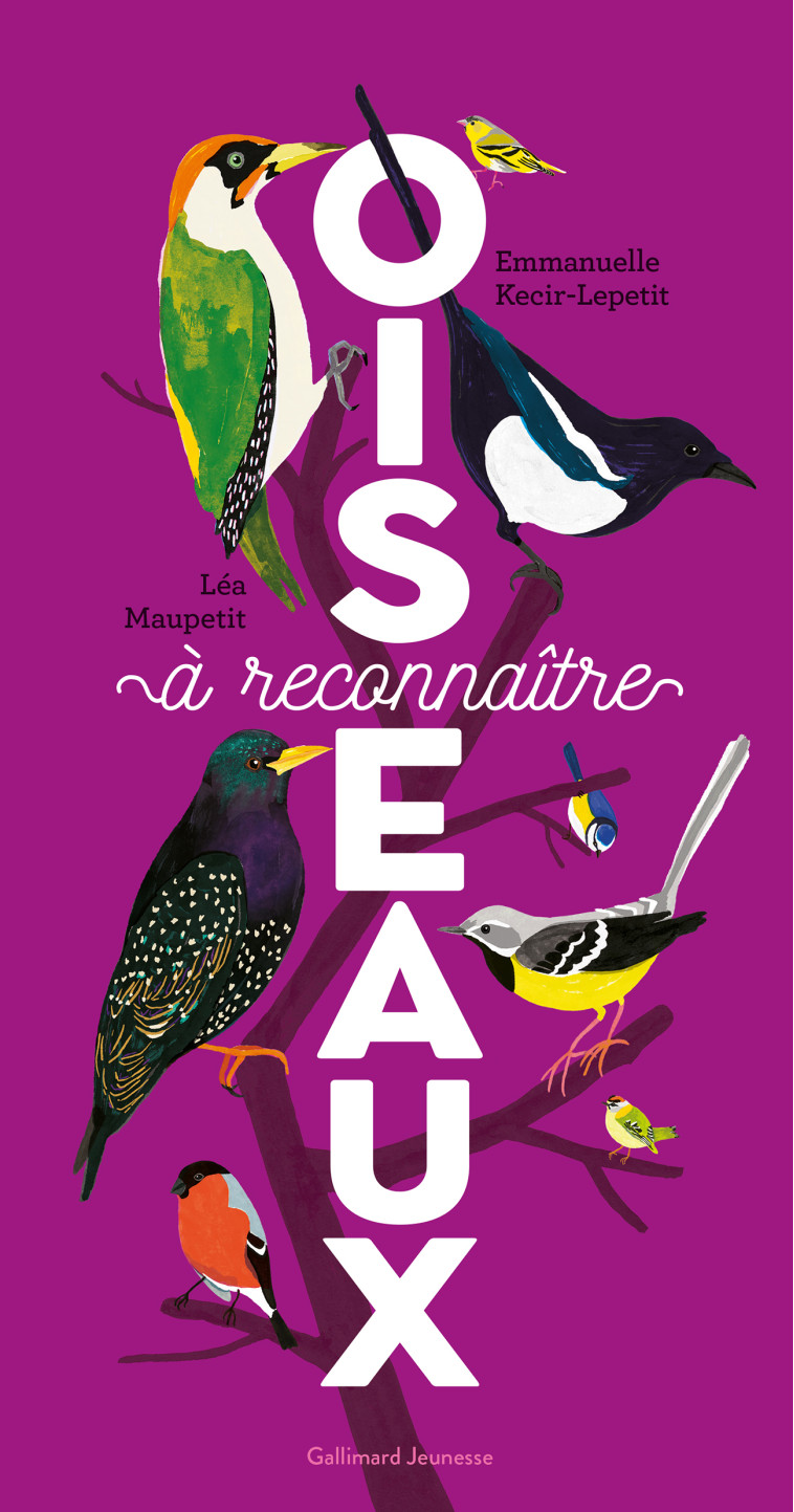 Oiseaux à reconnaître - Lea Maupetit, Emmanuelle Kecir-Lepetit - GALLIMARD JEUNE