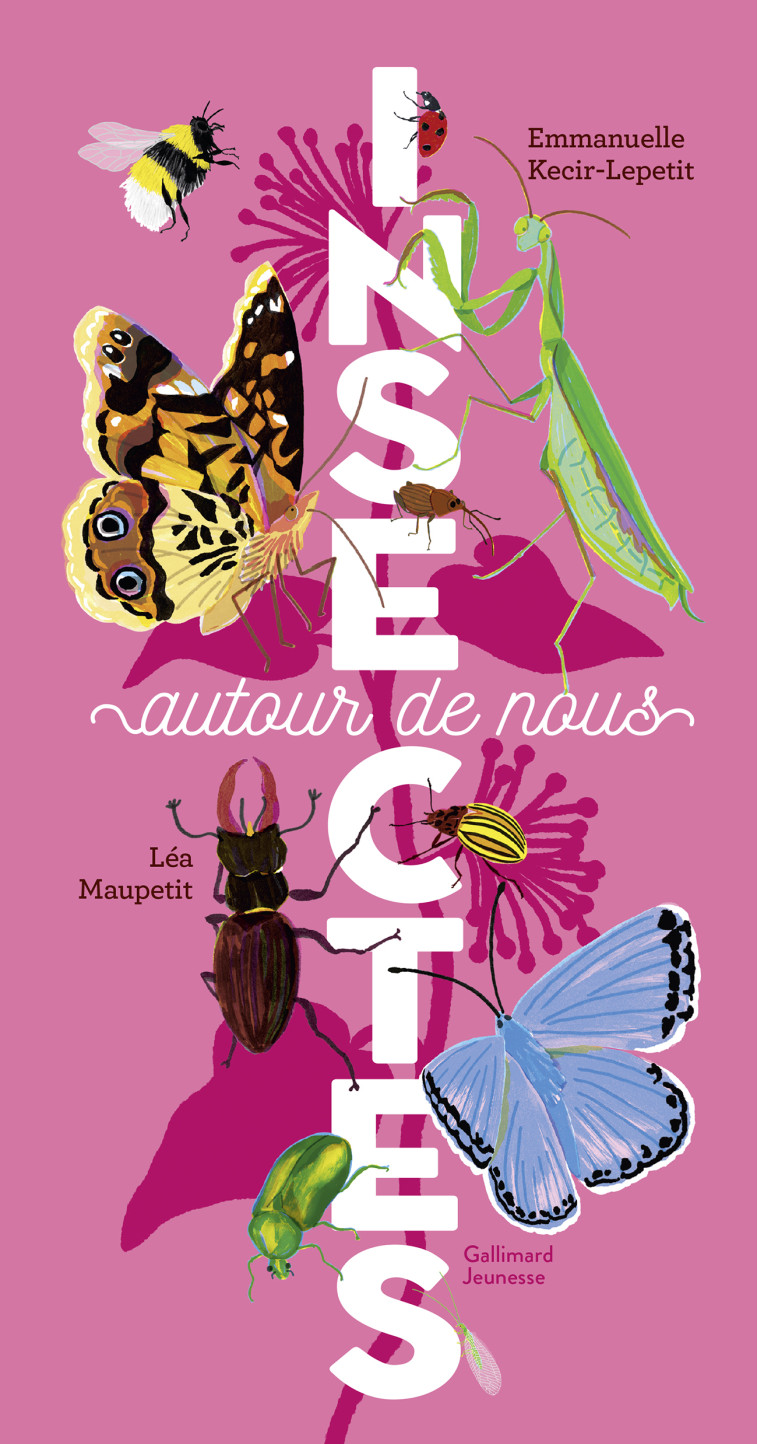 Insectes autour de nous -  EMMANUELLE KECIR-LEPETIT, Emmanuelle Kecir-Lepetit, Lea Maupetit - GALLIMARD JEUNE