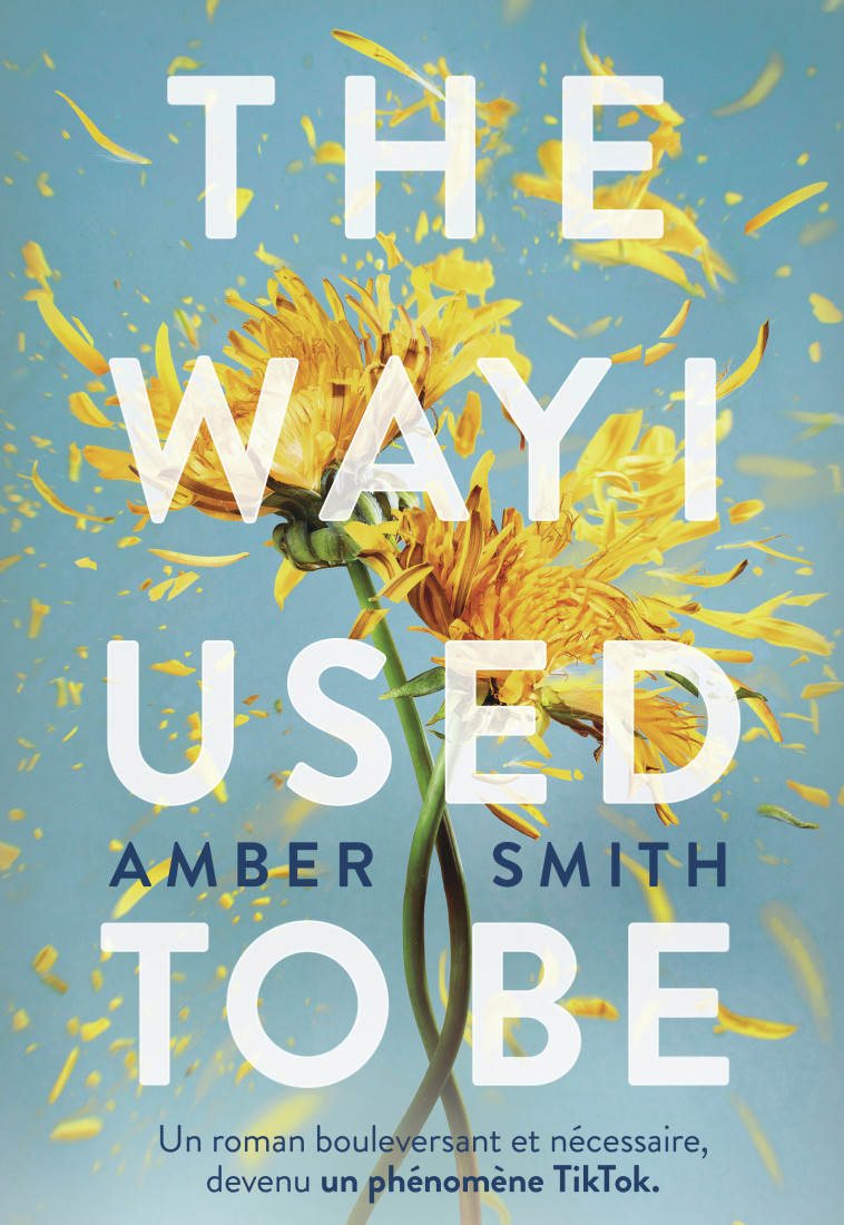 The Way I Used to be - Amber Smith, Caroline Bouet - GALLIMARD JEUNE