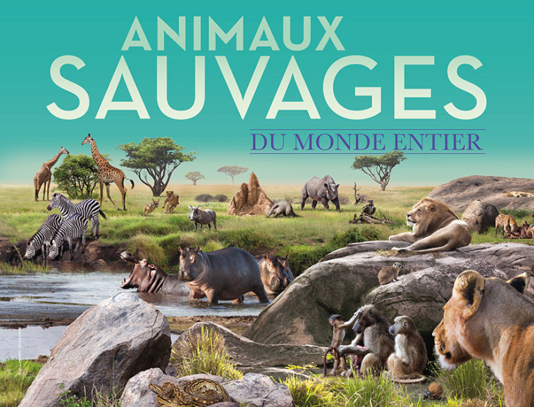 Animaux sauvages du monde entier -  COLLECTIFS JEUNESSE,  Collectif,  Collectif - GALLIMARD JEUNE