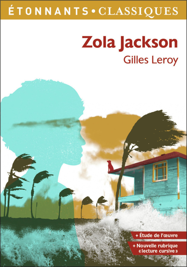 Zola Jackson - Gilles Leroy, Fanny Taillandier - FLAMMARION