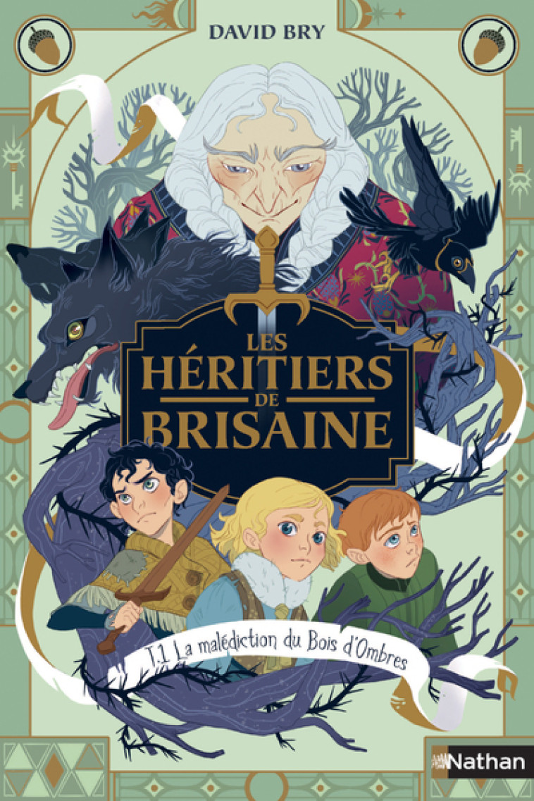 Les Héritiers de Brisaine - Tome 1 La Malédiction du bois d'ombres - David Bry, Noémie Chevalier - NATHAN