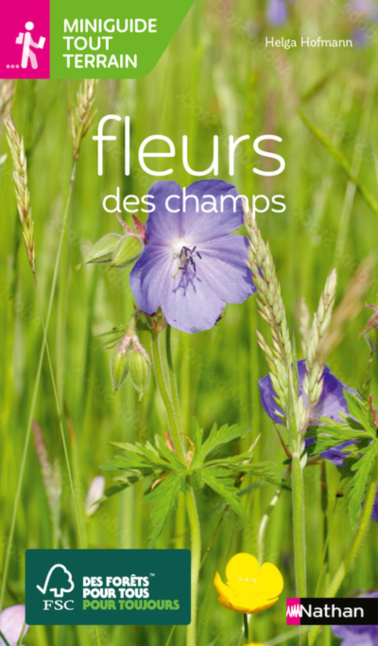 Miniguide tout-terrain - fleurs des champs - Helga Hofmann - NATHAN