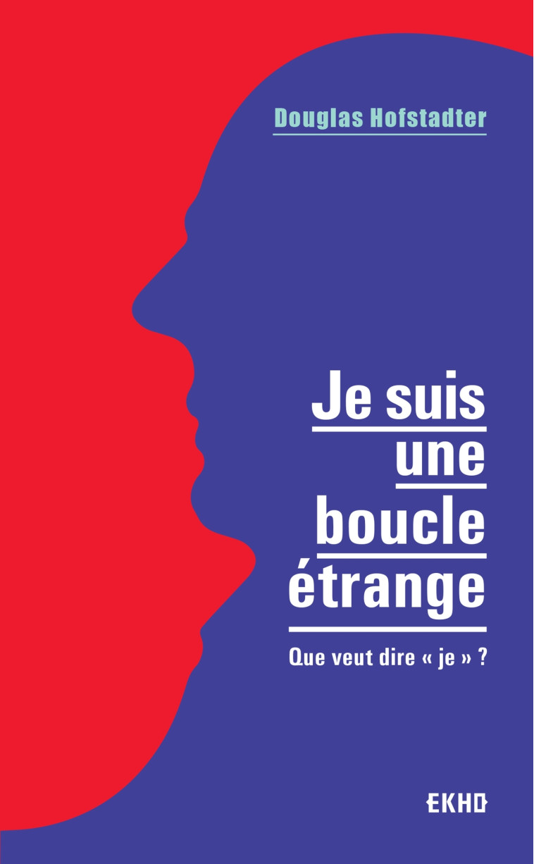 Je suis une boucle étrange - Douglas Hofstadter - DUNOD