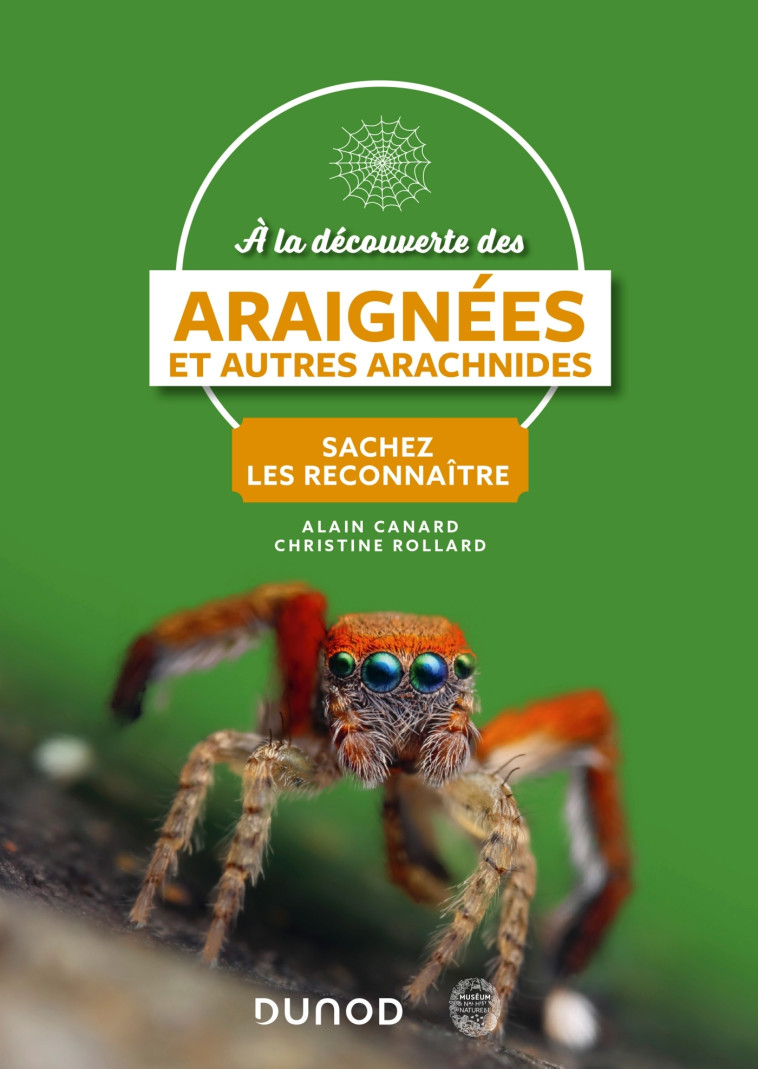 A la découverte des araignées et autres arachnides - Alain Canard, Christine Rollard - DUNOD