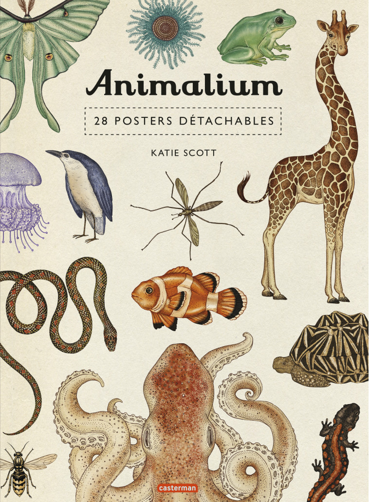 Animalium - Katie Scott - CASTERMAN