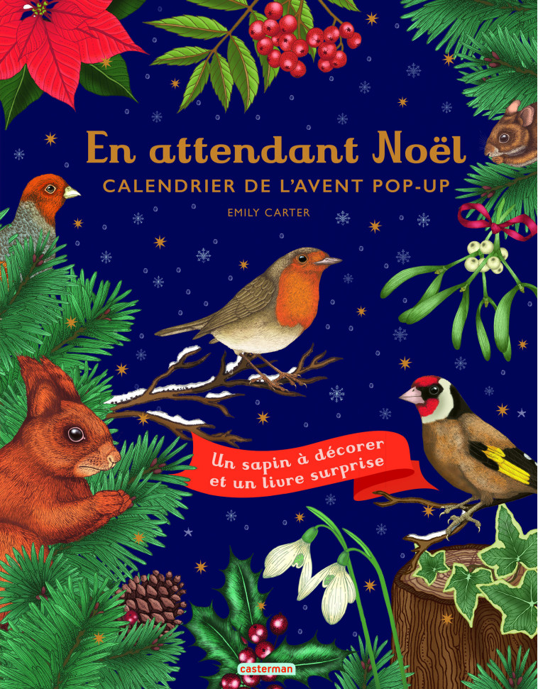 En attendant Noël - Emily Carter, Emily Carter - CASTERMAN