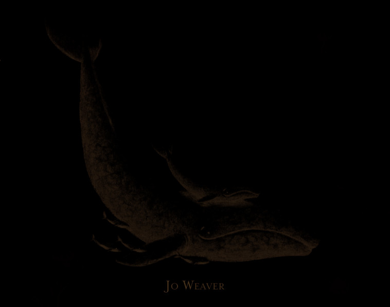 petite baleine - Jo Weaver, Camille Guénot - EDL