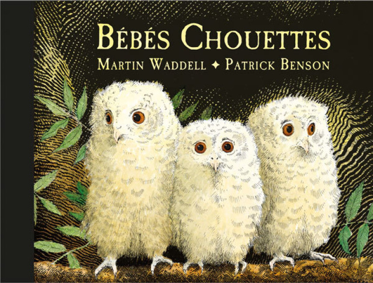 Bébés Chouettes -  Benson Patrick, Patrick Benson, Martin Waddell, Isabel Finkenstaedt, Martin Waddell, Patrick Benson, Isabel Finkenstaedt - EDL