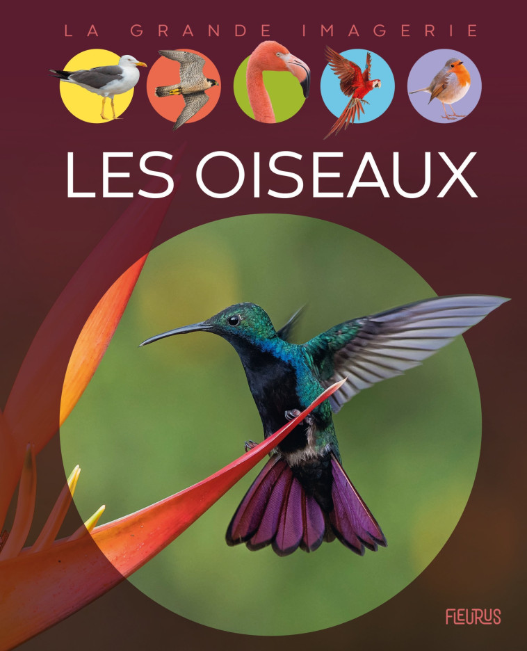 Les oiseaux - Raphaëlle Chauvelot - FLEURUS