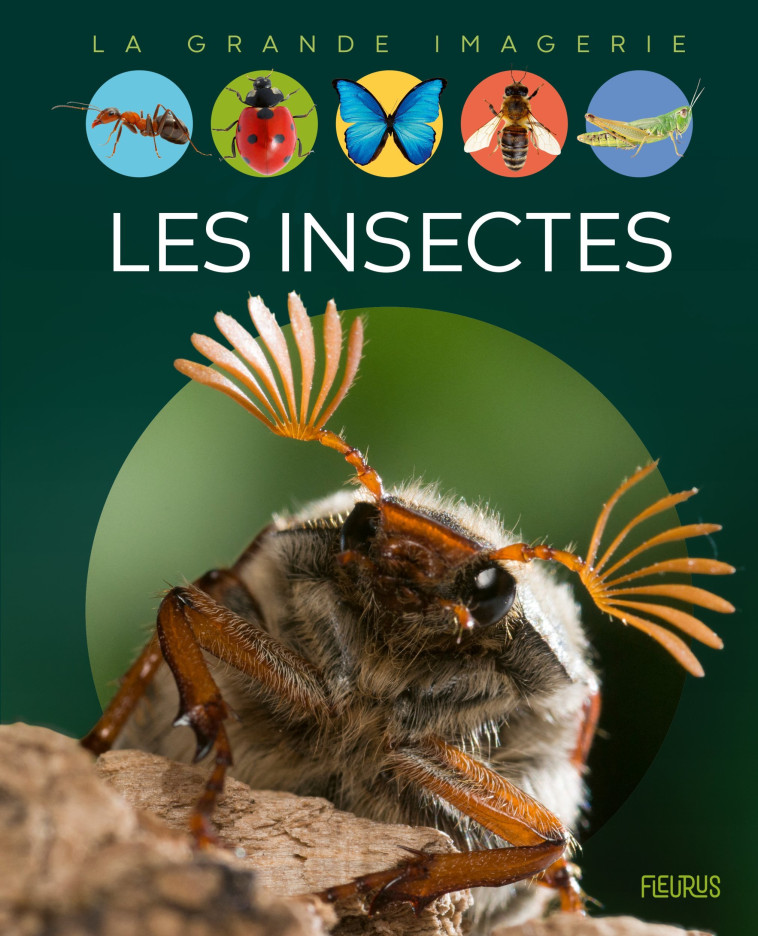 Les insectes - Emilie BEAUMONT, Bernard ALUNNI, Marie-Christine Lemayeur - FLEURUS