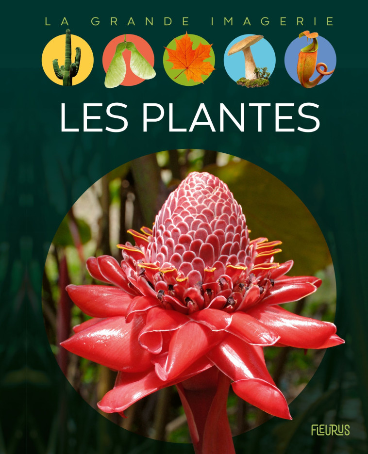 Les plantes - Sabine Boccador, Bernard ALUNNI, Marie-Christine Lemayeur - FLEURUS