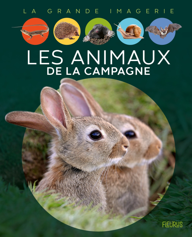 Les animaux de la campagne - Raphaëlle Chauvelot, Bernard ALUNNI, Marie-Christine Lemayeur - FLEURUS