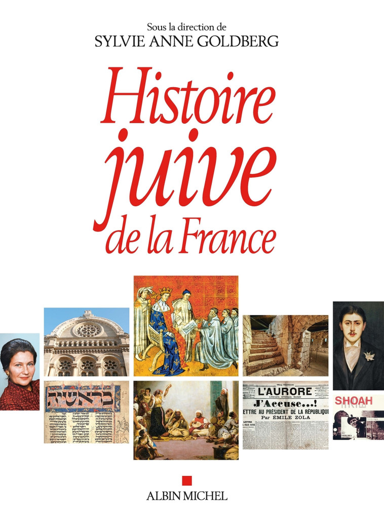 Histoire juive de la France - Sylvie-Anne Goldberg,   - ALBIN MICHEL