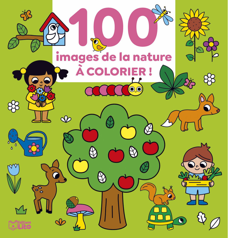 100 IMAGES A COLORIER NATURE - XXX - LITO