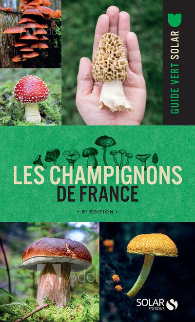 Les champignons de France - 8e édition - 8e edition - Collectif Collectif - SOLAR