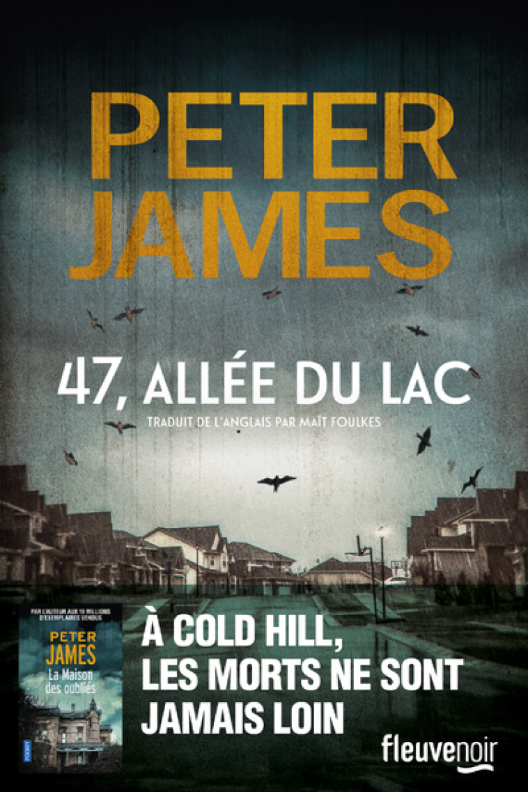 47, allée du lac - Peter James, Maït Foulkes - FLEUVE EDITIONS