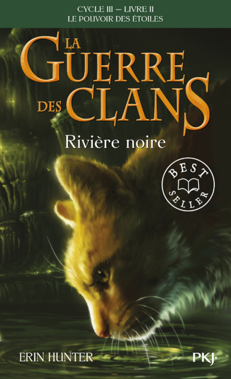 La guerre des Clans cycle III Le pouvoir des étoiles - tome 2 Rivière noire - Erin Hunter, Aude Carlier, Erin Hunter, Aude Carlier - POCKET JEUNESSE