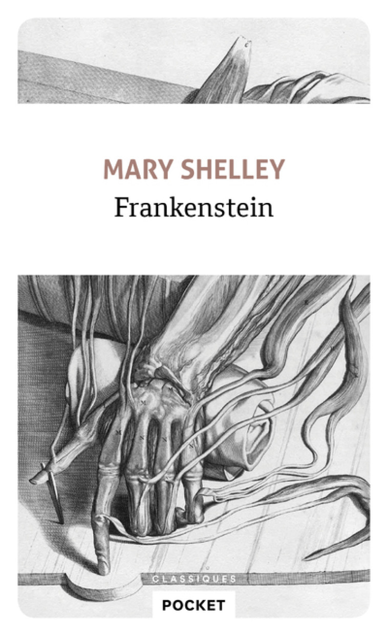 Frankenstein - Mary Shelley, Eugène Rocartel, Georges Cuvelier - POCKET