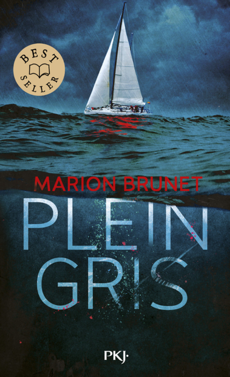 Plein Gris - Marion Brunet - POCKET JEUNESSE