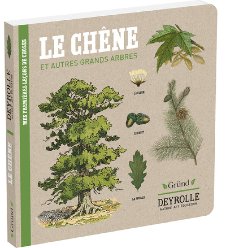 Le Chêne et autres grands arbres - Deyrolle - Caroline Pélissier, Virginie Aladjidi, Deyrolle Deyrolle, Caroline Pélissier, Virginie Aladjidi,  Deyrolle - GRUND