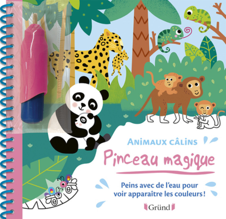 Pinceau magique - Animaux câlins - Vanessa Robidou - GRUND