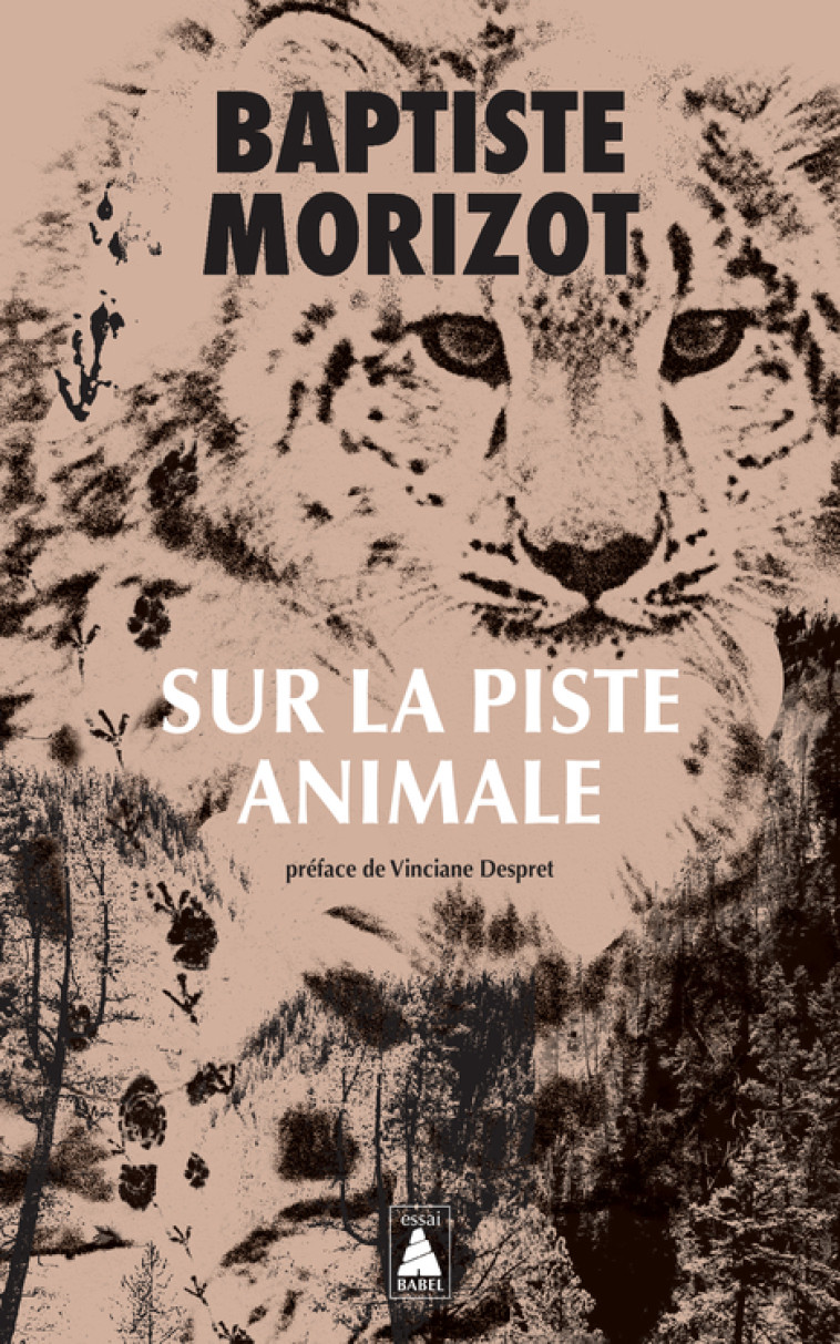 Sur la piste animale - Baptiste Morizot, Vinciane Despret - ACTES SUD