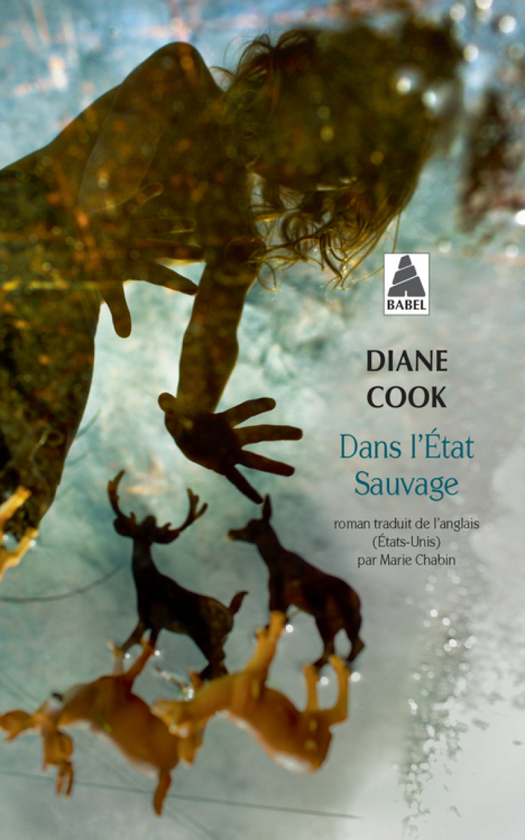 Dans l'État Sauvage - Diane Cook, Marie Chabin - ACTES SUD