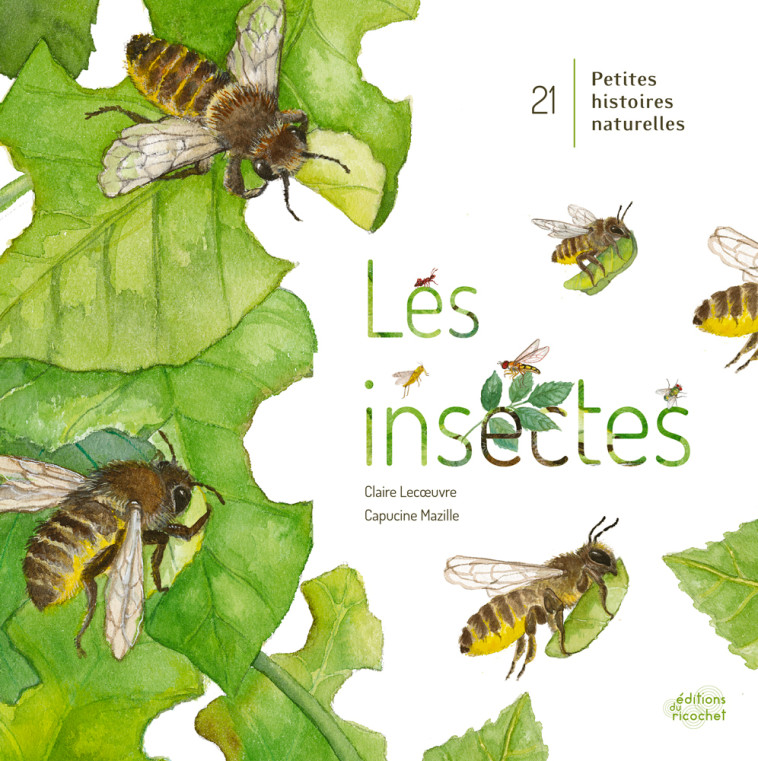 LES INSECTES ! - Claire Lecoeuvre, Capucine Mazille - RICOCHET