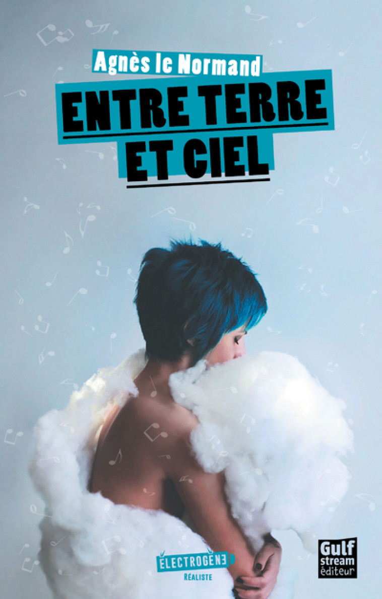 Entre terre et ciel - Agnès Le Normand - GULF STREAM