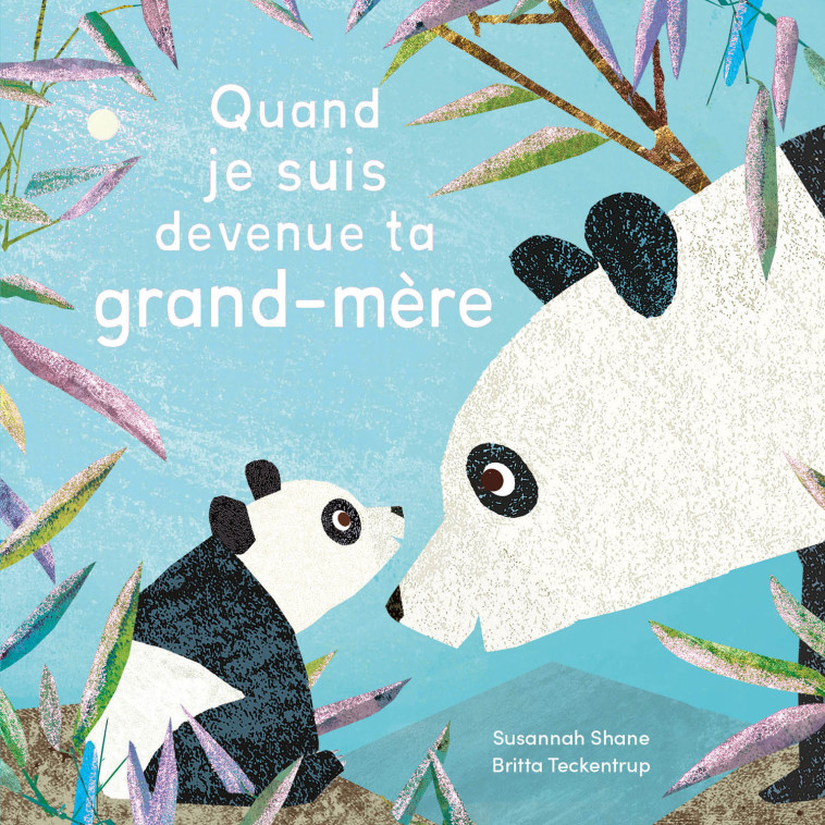 QUAND JE SUIS DEVENUE TA GRAND-MÈRE - Susannah SHANE, Britta Teckentrup - 1 2 3 SOLEIL