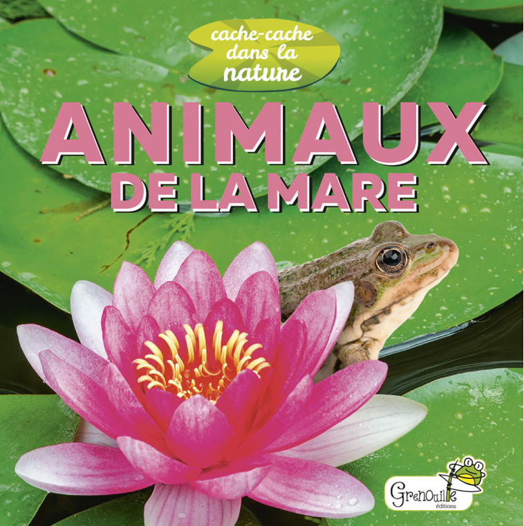 Animaux de la mare -  Collectif - GRENOUILLE