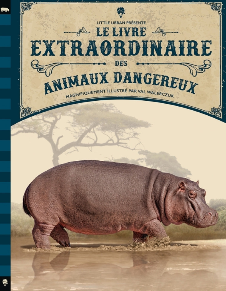 Le Livre extraordinaire des animaux dangereux - WALERCZUK Val WALERCZUK Val, JACKSON Tom JACKSON Tom - LITTLE URBAN