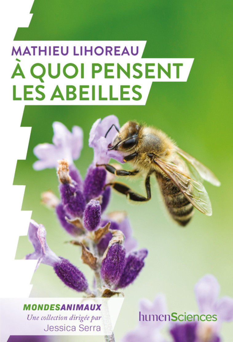 À quoi pensent les abeilles ? - Mathieu LIHOREAU, Jessica Serra, Mathieu LIHOREAU, Jessica Serra - HUMENSCIENCES