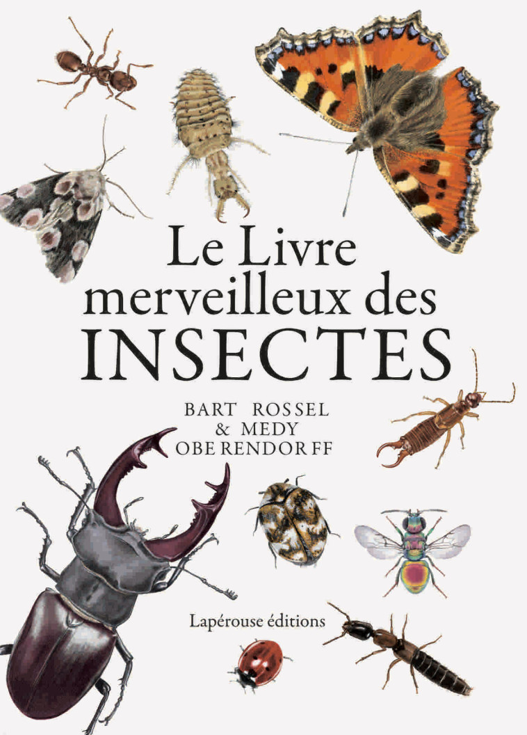 Le livre merveilleux des insectes - Medy Oberendorff, Bart Rossel - LAPEROUSE