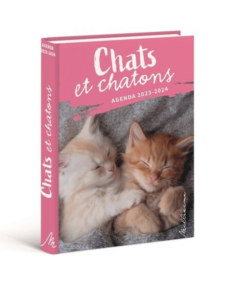 Agenda Chats et chatons 2024-2025 - Miaou Miaou, Collectif Collectif - MILLESIMA