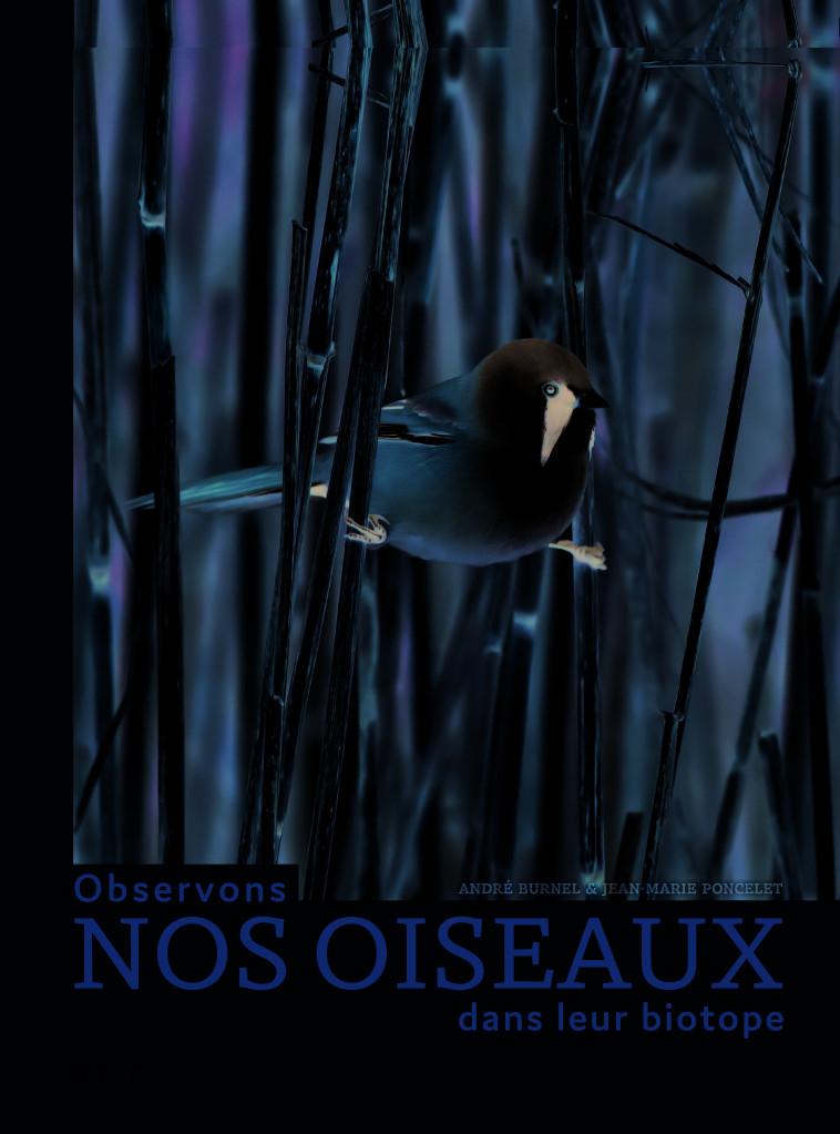 Observons nos oiseaux dans leur biotope - Andre Burnel, Jean-Marie Poncelet - RACINE BE