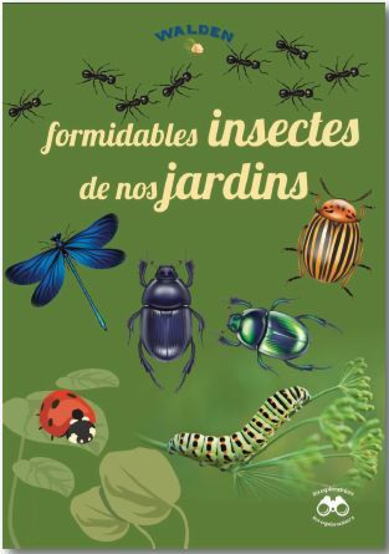 Formidables insectes de nos jardins  -  Collectif - WALDEN