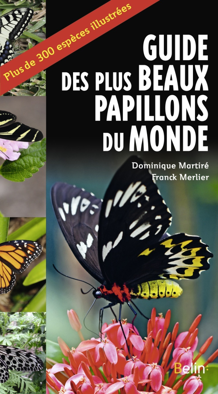 Guide des plus beaux papillons du monde - Franck Merlier, Dominique Martiré, Guillaume Eyssartier - BELIN