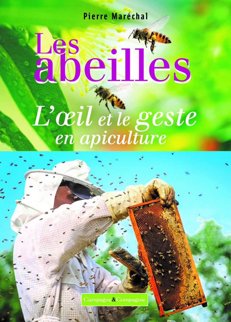 Les abeilles, l'oeil et le geste en apiculture - Pierre Maréchal - FRANCE AGRICOLE