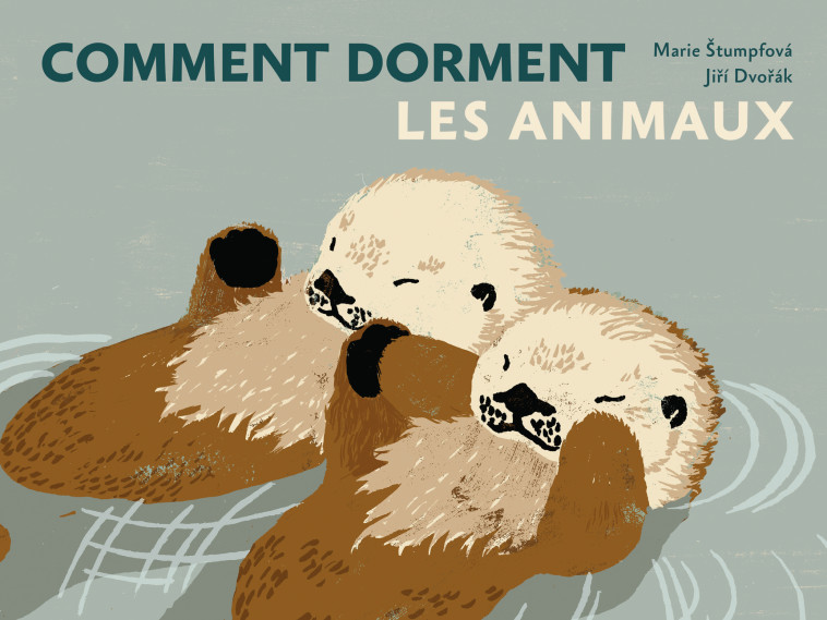 Comment dorment les animaux - Jiri DVORAK, Marie Stumpfova, Anaïs Raimbault, Jiri DVORAK, Marie Stumpfova, Marie Stumpfova, Anaïs Raimbault - LA PARTIE