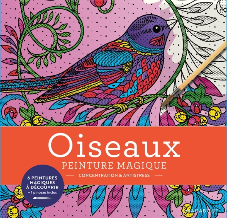 Peinture magique Oiseaux -  PEINTURE MAGIQUE - MARABOUT